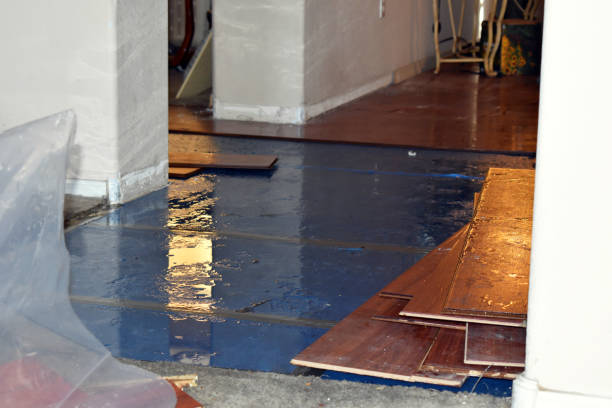 Professional Basement Flood Cleanup technician working in Fayetteville, AR